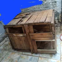 قفس