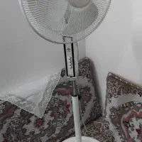 پنکه