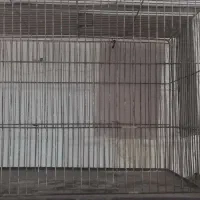 قفس پرنده|لوازم جانبی حیوانات|بروجرد, |دیوار