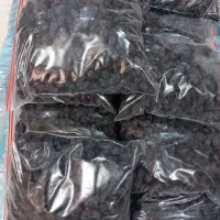 شیره انگور ومویزبسیارمرغوب|خوردنی و آشامیدنی|اسلام‌شهر, شهرک الهیه|دیوار