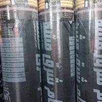 ایزوگام مشهدو دلیجان