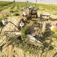 دروگر کنجد|ماشینآلات صنعتی|باوی, |دیوار