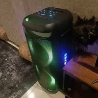 اسپیکر قدرتمند perfect .prx100