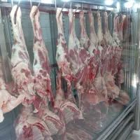 پاچال دار قصابی وگوشت فروشی