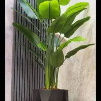 نیگولادرختچ ه|گل مصنوعی|تهران, مشیریه|دیوار