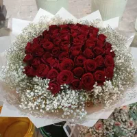 گل رز|گل و گیاه طبیعی|اصفهان, شاهزید|دیوار