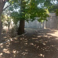 اجاره-باغ-ویلا-جهت-صنف-پرنده-فروشی-یا-کافه