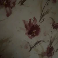 کمک کردن رایگان وراهنمایی