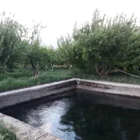 اجاره ویلا در روستای بندیزه|اجارهٔ خانه و ویلا|اشترینان, |دیوار
