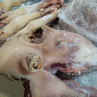 کله پاچه گوسفند