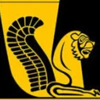 جایزه رایگان برنامه ویپاد