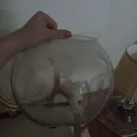 تنگ ماهی و تراریوم