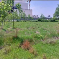 زمین ۱۰۰۰ متری زراعی کوچه کنار سیتادیوم