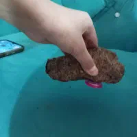 سلام عرض ادب و ارادت خدمت شما سنگ قیمتی در حفاری|کلکسیون اشیاء عتیقه|چناران, |دیوار