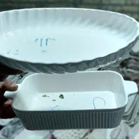 ظرف سرامیکی|ظروف سرو و پذیرایی|یاسوج, |دیوار