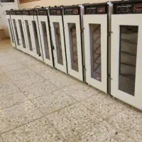 دستگاه جوجه کشی|لوازم جانبی حیوانات|بوشهر, |دیوار