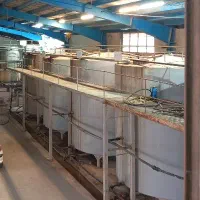 استخدام نیرو انسانی