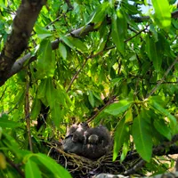 هزارمتر زمین