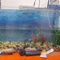 آکواریم بزرگ شیشه ای