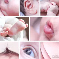 نیازمندرحم اجاره