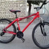 دوچرخه ویوا،