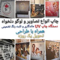 تولیدی پرده زبرا چاپی لوگو انواع تصاویر تحویل۱روزه|پرده، رانر، رومیزی|تهران, تهرانسر شرقی|دیوار