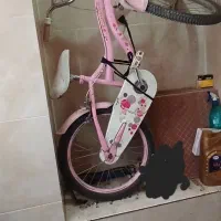 دوچرخه۲۰ دوخترانه