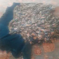 لباس محلی جرج  سبز آبی تمیز به فروش می‌رسد