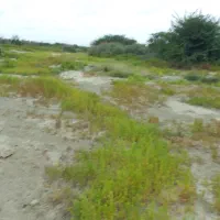 زمین-4000-متری-در-میناب