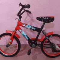 دوچرخه تمیز ۱۶