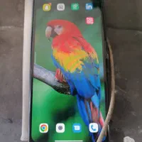 شیامی نوته 12 پرو|موبایل|سیرجان, |دیوار