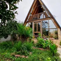 اجاره کلبه جنگلی، پناهگاه سبز جنگل با کلبه دنج