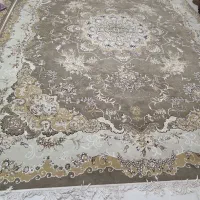 فرش|فرش|بندرعباس, |دیوار