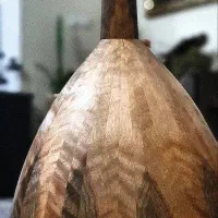 عود حرفه ایِ موسوی