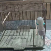 قفس پرنده
