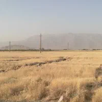 زمین جاده روانسر طرح هادی نزدیک شهر ساخت ویلایی|فروش زمین و ملک کلنگی|کرمانشاه, |دیوار