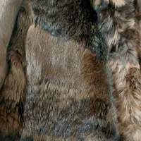 پالتو|لباس|هشتگرد, شهرک گلها|دیوار