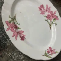 ظروف حراجی|ظروف سرو و پذیرایی|شیراز, ستارخان|دیوار