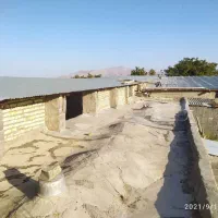 فروش گاوداری با مجوز در نوبران ساوه