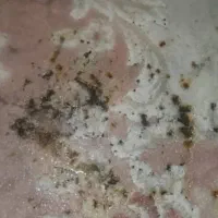 رفوکاری  تعمیرفرش رنگبرداری فرش و مبل در محل|خدمات پیشه و مهارت|شهریار, شهریار|دیوار