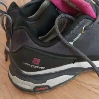 کفش اسپرت نو سایز37|کیف، کفش، کمربند|پرند, فاز ۵|دیوار