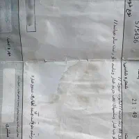 تیپ ۲ تمیزخونگی|خودرو سواری و وانت|سبزوار, کوی بهار|دیوار