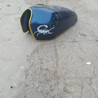 کبوتر فروشی وسایل مو تور|پرنده|زابل, |دیوار