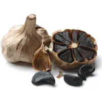 سرسیاه اصل/کنترل سریع قندخون