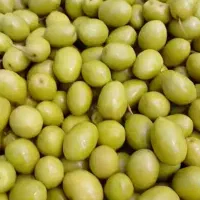 خیارشور ترشیجات زیتون|خوردنی و آشامیدنی|مشهد, حجت|دیوار