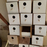 لونه مرغ عشق وکانال کولر