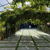 باغ-ویلا-باغی-فول-فرنیش-لاکچری-سند-تک-برگ