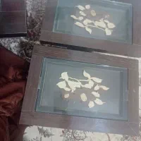 میز عسلی|مبلمان خانگی و میز عسلی|زابل, |دیوار