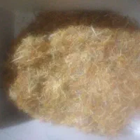 سفیده یاریشه زعفران