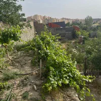 باغچه نقلی با عشق ۲۵۰ زمین ۴۰ بنا ناب در *مهراباد*|فروش خانه و ویلا|رودهن, |دیوار